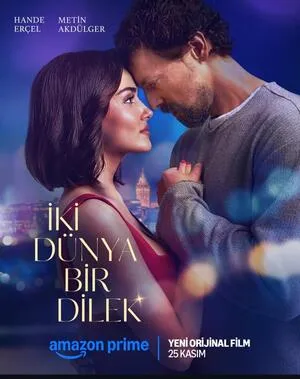 Two Worlds, One Wish 2025 Hindi Dual Audio HD Poster Download - filmyfly