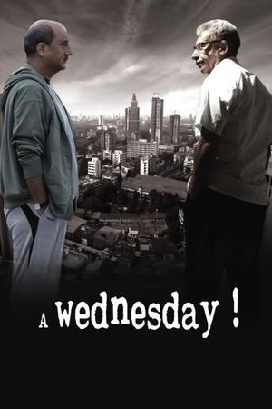 A Wednesday 2008 Hindi Dual Audio HD Poster Download - filmyfly
