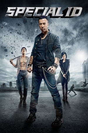 Special ID (2013) Hindi Dual Audio [150MB] HD Poster Download - filmyfly