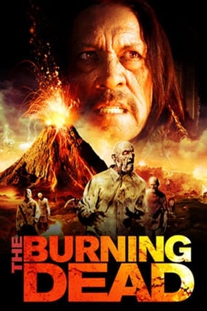 The Burning Dead (2015) Hindi Dual Audio 300MB HD Poster Download - filmyfly
